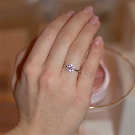 ringe antrag